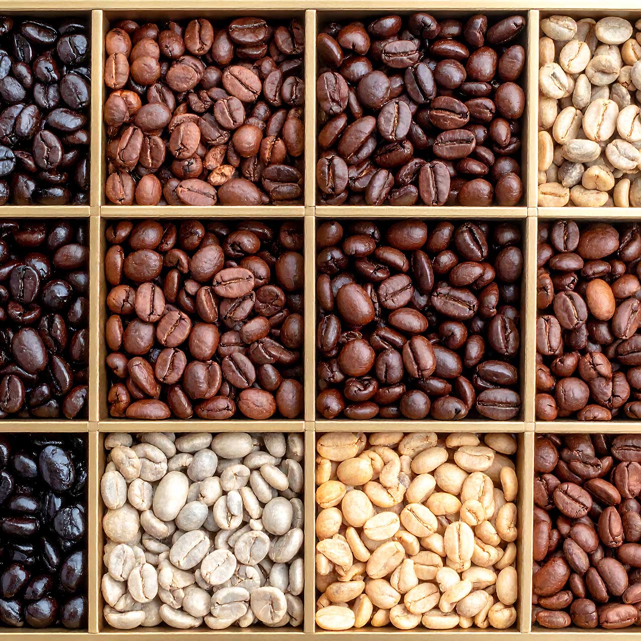 Coffee Roast Profiles
